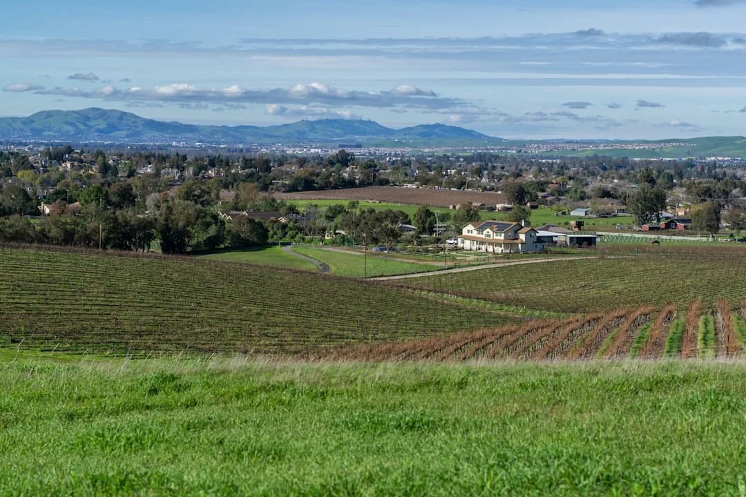 Cover Image for Bay Area Regenerative Agriculture at Farmers Markets 2026