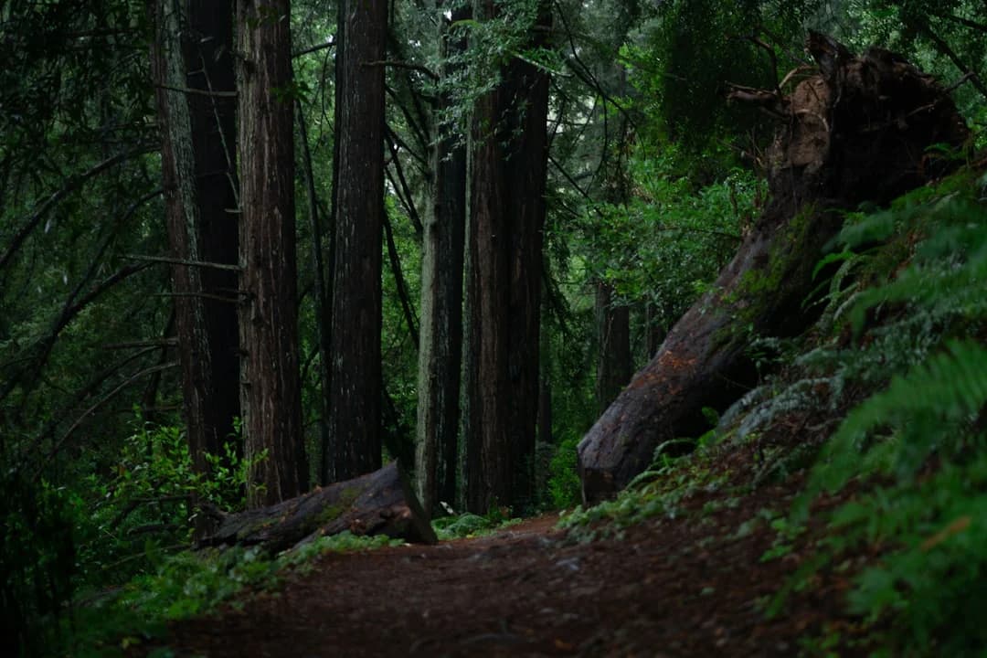 East Bay Trails Challenge 2026: How to Join
