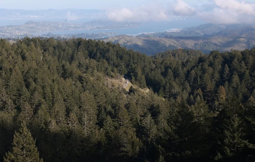 Cover Image for El Niño-driven Wildfire Season 2026 Bay Area Readiness