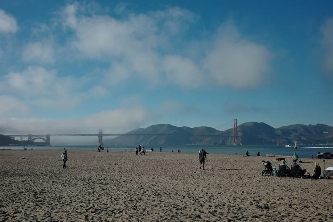 Cover Image for SF Tourism 2026 Summer Forecast Bay Area Growth