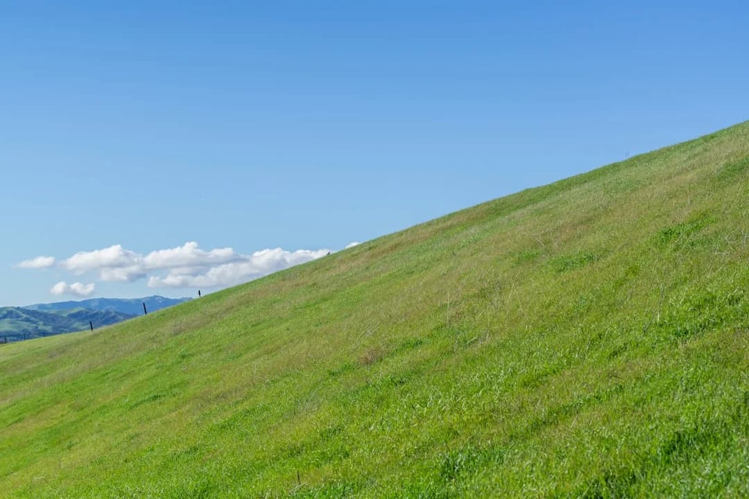 Cover Image for East Bay Open Studios 2026: Plan Your Weekend
